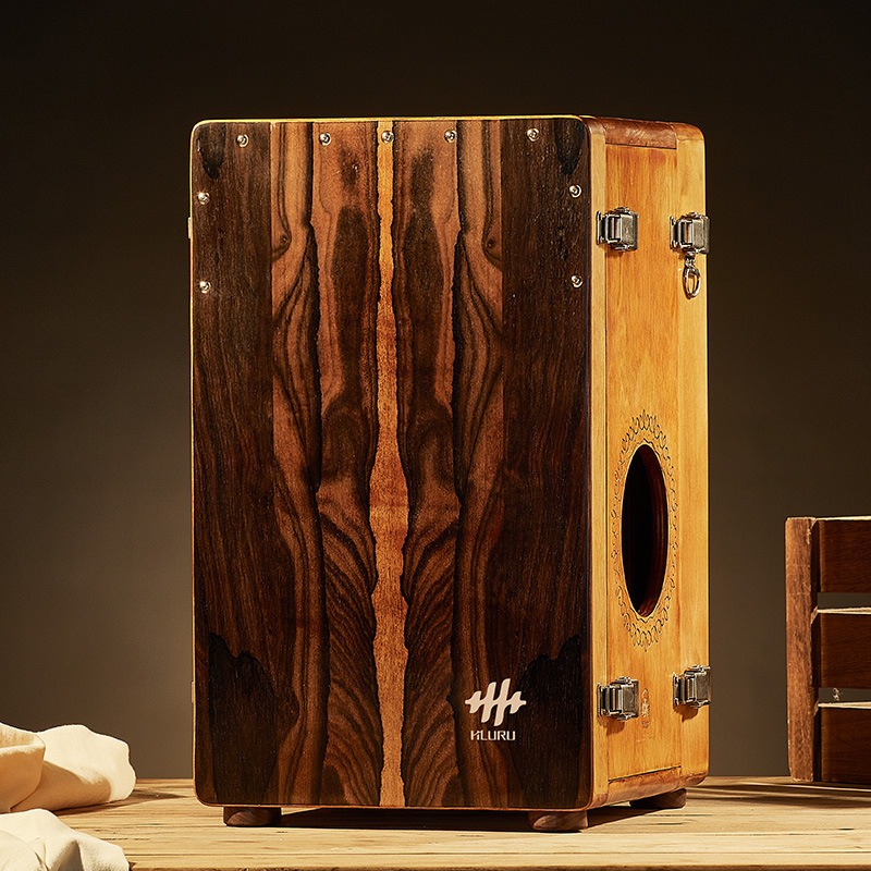 Houten Box Drum Professionele  - Diy Electronics Projects For Adults recensie en prijs