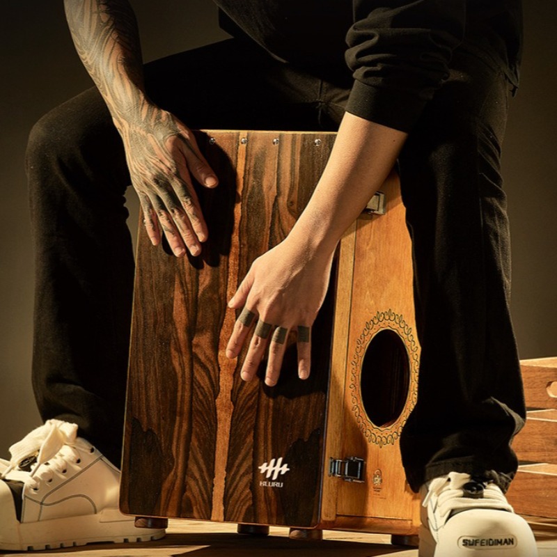 Houten Box Drum Professionele  - Diy Electronics Projects For Adults recensie en prijs