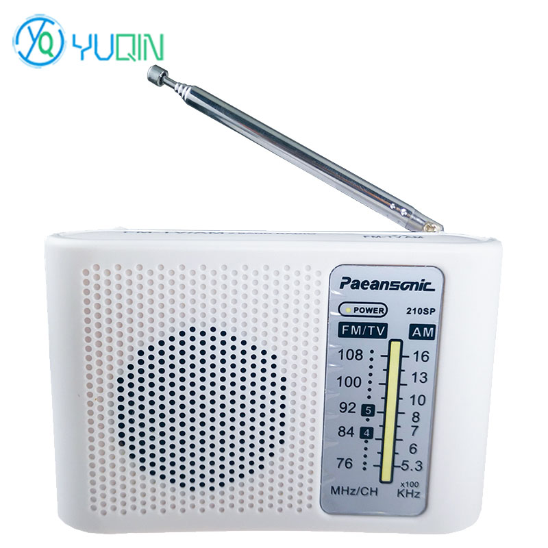 210SP AM/FM Radio Kit DIY elek - Diy Electronics Projects For Adults recensie en prijs